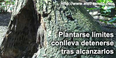 Plantarse límites conlleva detenerse tras alcanzarlos.